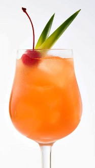 Bahama Mama