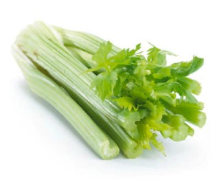 Bleekselderij