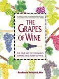 Baudouin Neirynck - Grapes of Wine