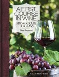 A First Course in Wine - Dan Amatuzzi