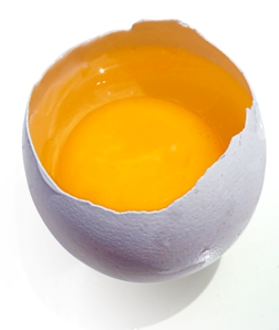 Eiergeel Eiergeel