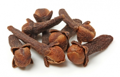 Kruidnagel