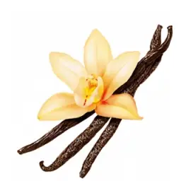 Vanille extract