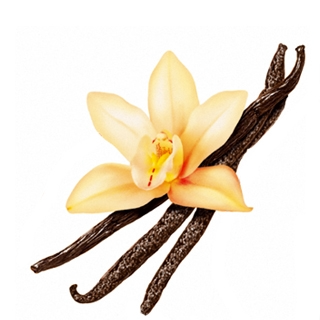 Vanille extract